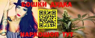 индика Гусиноозёрск